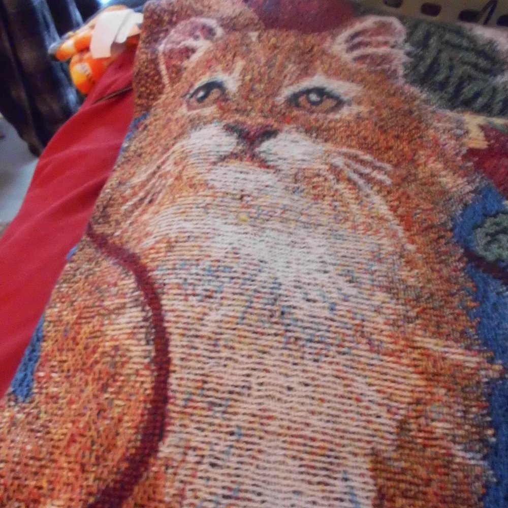 Christmas Cat throw blanket and Pillow set - Picture 3 of 4